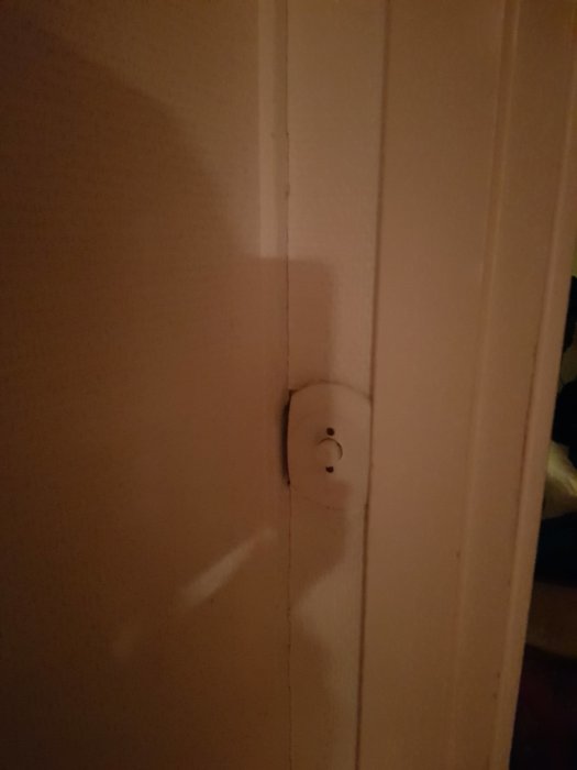 Mörk bild av en dörr med dörrhandtag i dåligt belyst rum.