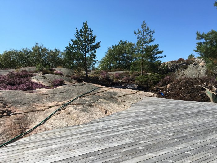 Träaltan med silvergrå tryckimpregnerade plankor omgiven av klippor och lila blommande växtlighet under en klarblå himmel.