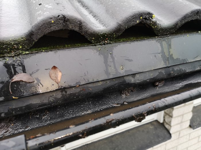 Fukt och påväxt på takpapp nära hängrännor under betongpannor på ett tak, möjlig bristfällig övertäckning.