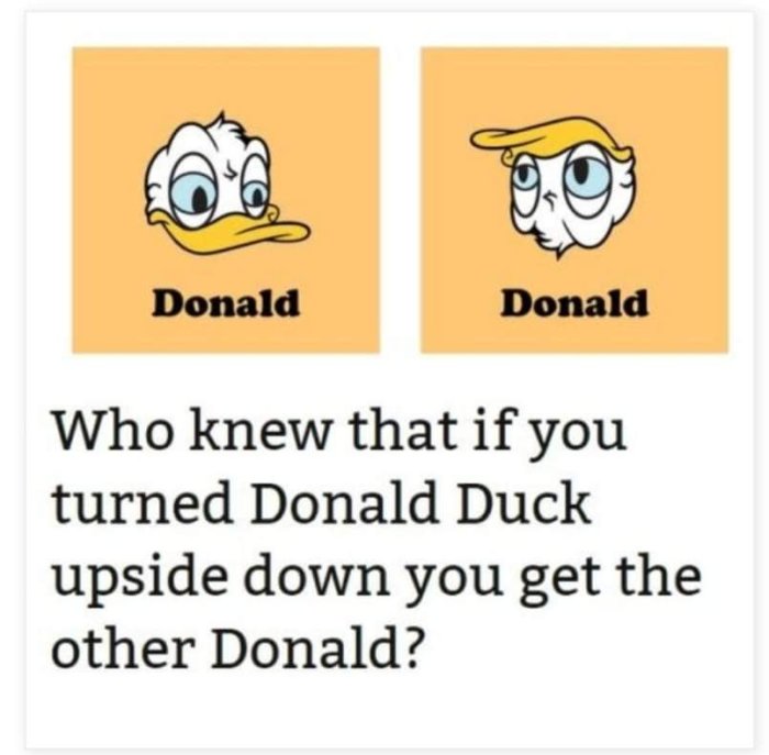 Två bilder av Kalle Anka rätt upp och nedvänd med text skämtsamt antydande en annan Donald vid vändning.
