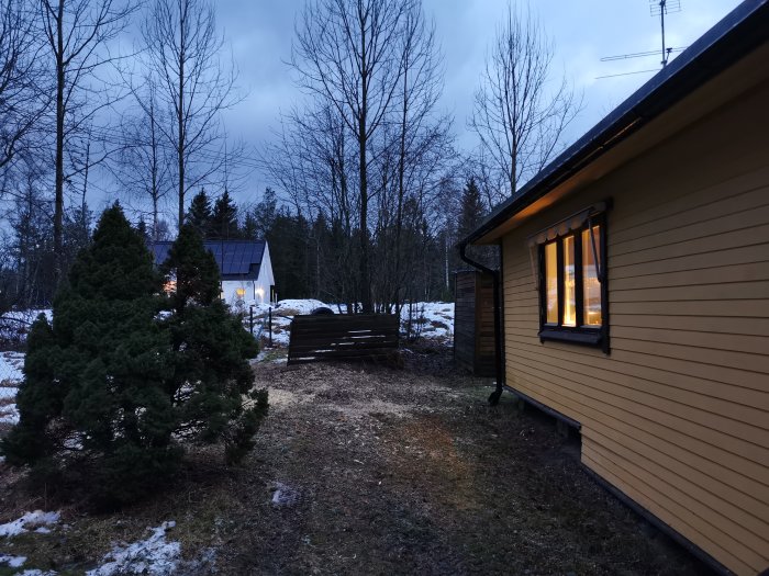 Tom plats där stor tall nyligen avverkats bredvid ett hus i skymningen.