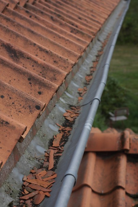 Utsnitt av tak med skadade Vittinge enkupiga E13 tegelpannor och samlade tegelsplitter.