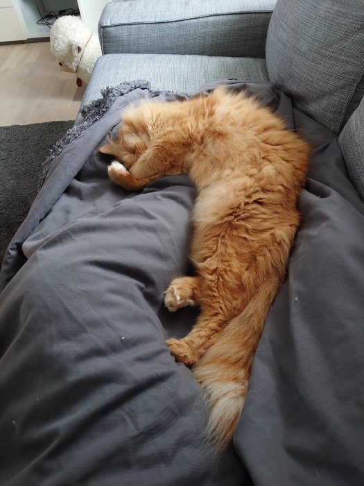 En avkopplad röd katt sover djupt på en grå dyna med huvudet gömt under tassen.