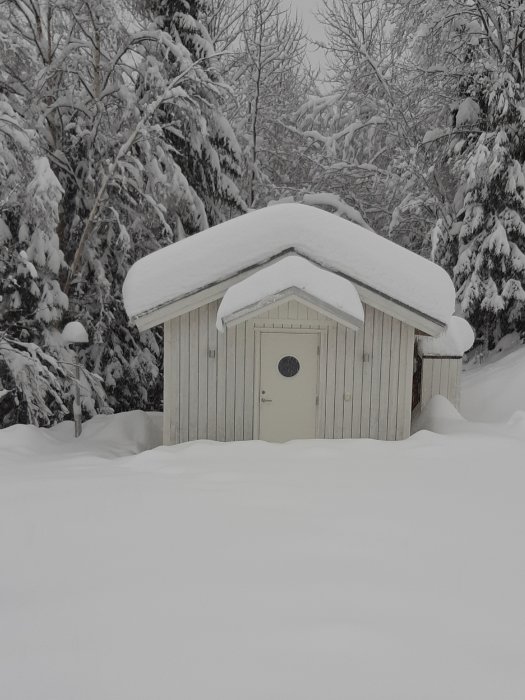 En liten byggnad täckt med tjockt snölager omgiven av snötyngda träd.