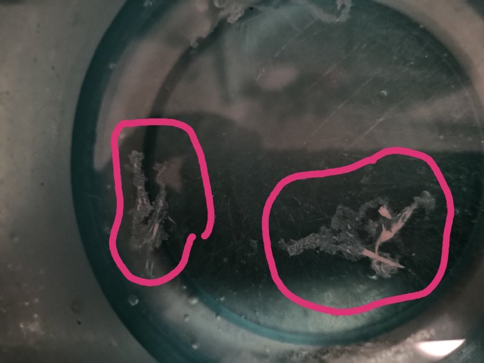 Klumpar av okänd påväxt på en glasskiva markerade med rosa linjer, antydan om dålig ventilation.