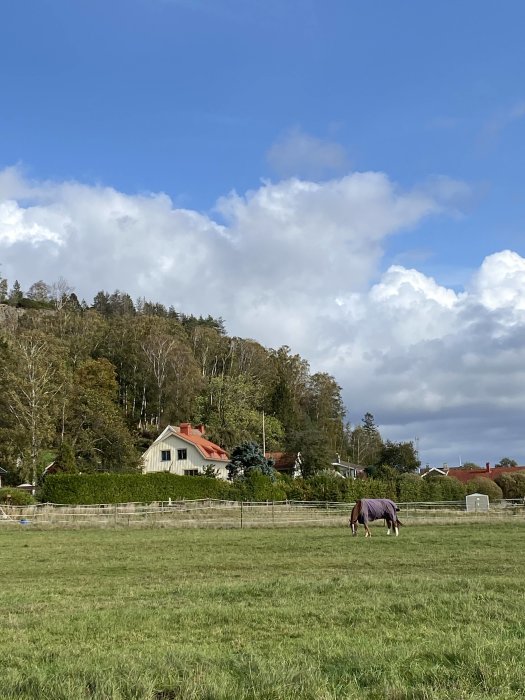 Ett renoverat rödfärgat hus från 1922 i lantlig miljö med en betande häst i förgrunden.