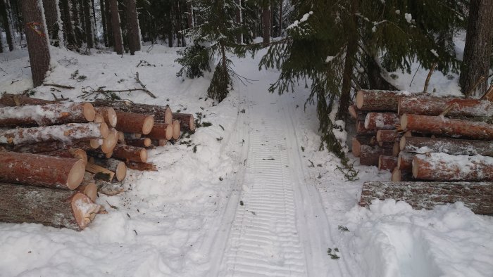 Vedsågning i snö, med avkapade stockar staplade vid en skogsbilväg, markerar effektivt arbete med motorsåg.