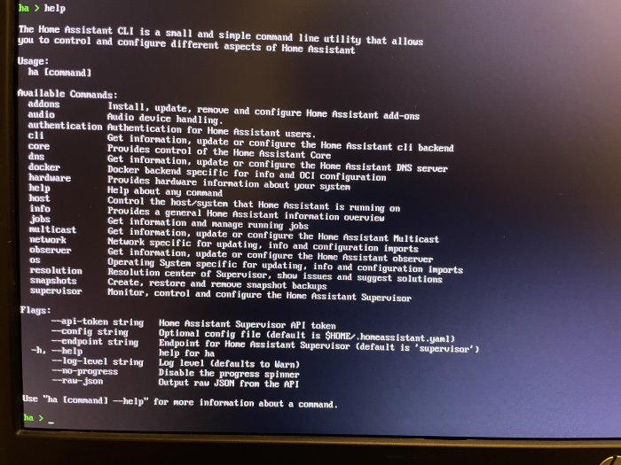 Skärmdump av Home Assistant CLI hjälpkommando med kommandon och flaggor listade på en datorskärm.