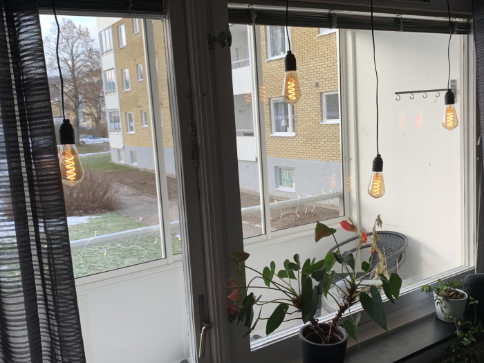 Fönster med fyra glödlampor upphängda och tända, med utsikt över bostadsområde.