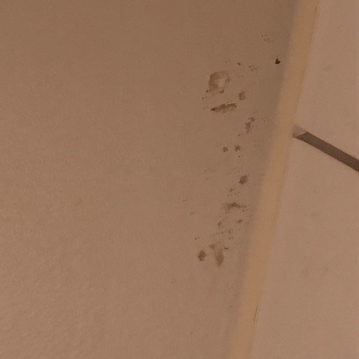Skada i badrumstak med avflagnad färg och möjliga mögelfläckar nära en hörna.