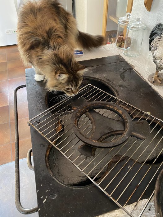 Katt undersöker en nyrenoverad spis med ny murningsgegga och nytt brännjärn.