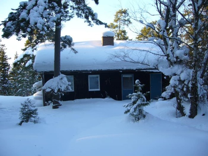 Svart timmerstuga täckt av snö med snötäckta träd i vinterlandskap.