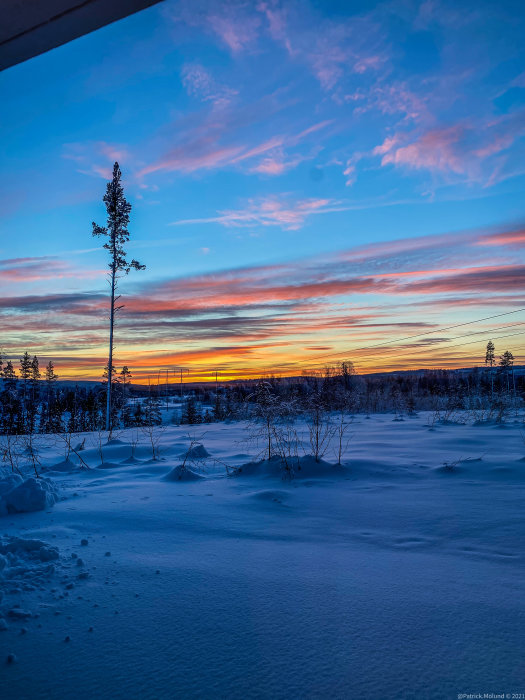 Vy av snötäckt landskap med dramatisk solnedgång och en tall.