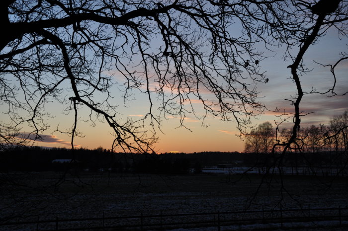 Solnedgång bakom trädgrenar med siluett av landskap och svagt snötäckt mark.