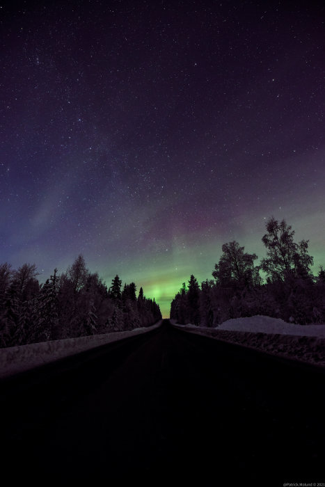 Norrsken över vinterväg flankerad av snötäckta träd under stjärnklar himmel.