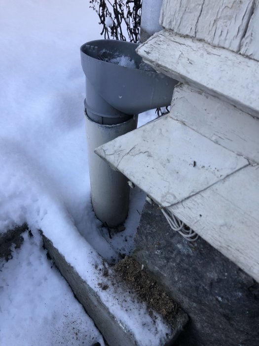 Murken offerbräda nära ett stuprör med spår av vattenstänk och spillning, indikerar skadedjur.