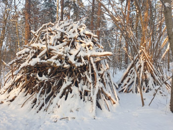 Två vedhögar täckta av snö i en skog under vintern.