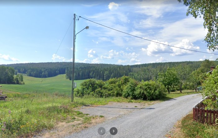 Gatuelykta och eluttag på en stolpe vid en landsväg med öppet landskap och skog i bakgrunden.