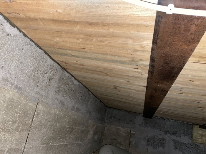 Vy under en blindbotten med enstaka träplankor som uppvisar gröna påväxter, omgivna av rena plankor och betonggrund.