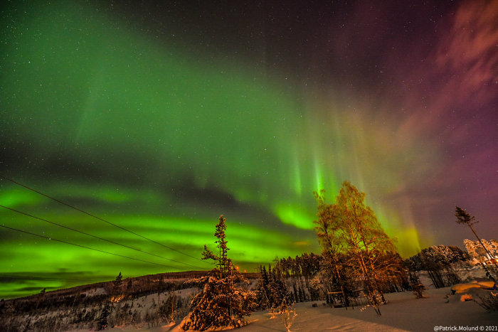 Norrsken över en snötäckt landsbygd med träd och kraftledningar under stjärnhimmel.