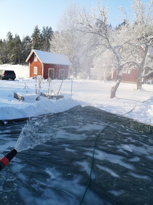 Vattning av isig yta med slang i snötäckt trädgård med röd stuga i bakgrunden.