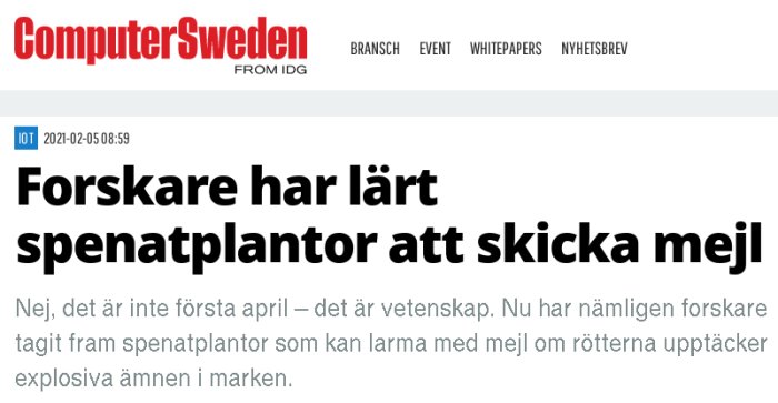 Screen capture of a Computer Sweden article headline: "Forskare har lärt spenatplantor att skicka mejl