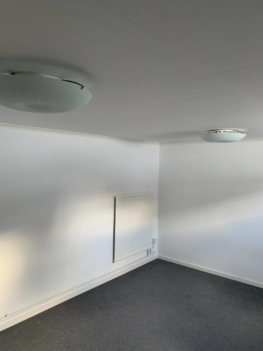 Källarerum med heltäckningsmatta, radiator och takbelysning.