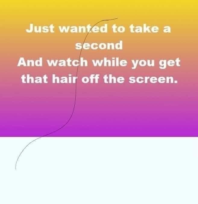 Bild med gradientbakgrund och texten "Just wanted to take a second and watch while you get that hair off the screen" och en ritad hårstrå.