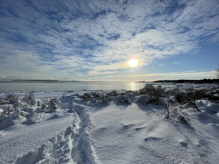 Vintersol över snötäckt landskap med fotspår och molnstrimmor på himlen.