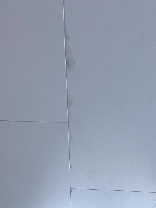 Gråa fläckar längs skarvarna i ett vitt tak, misstänkt mögel eller fuktskada.