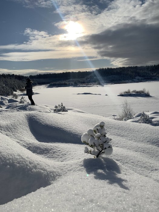 Person står vid en snötäckt sjö med låg vegetation under strålande sol.