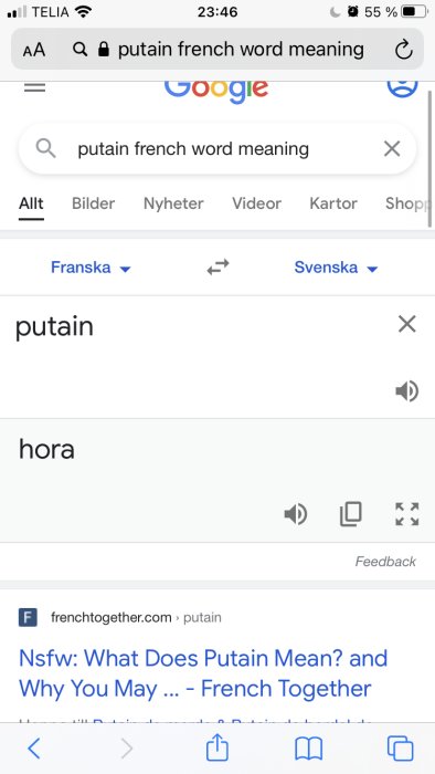 Skärmbild av en Google-sökning på "putain french word meaning" med översättningsresultat.