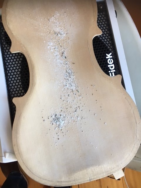 Gitarrlock med grovmalet rågmjöl ovanpå placerat på en högtalare för att testa resonansfrekvenser.