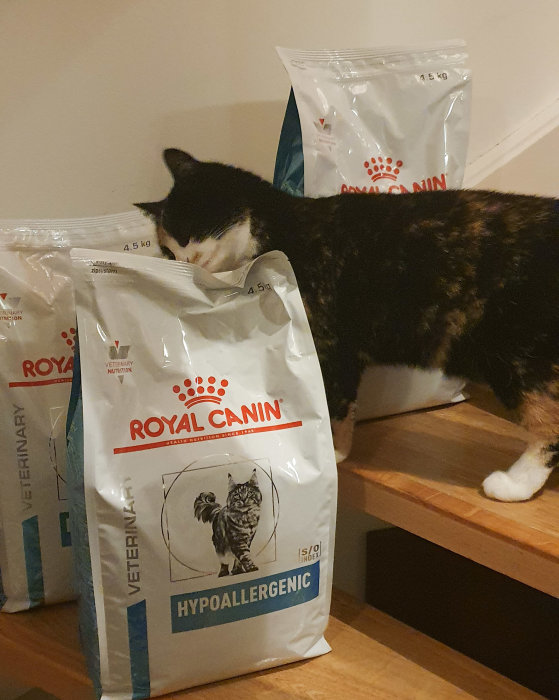 Katt sniffar på staplade säckar av Royal Canin hypoallergent kattfoder.