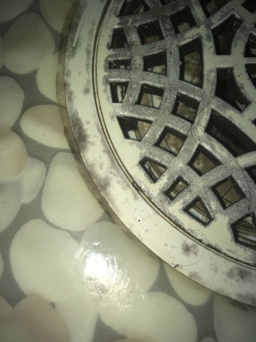 Mögel runt en golvbrunn på ett svartvit mönstrat badrumsgolv.