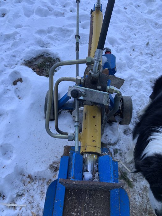 Vedklyv i snö med tydliga skador och en hund i kanten av bilden.