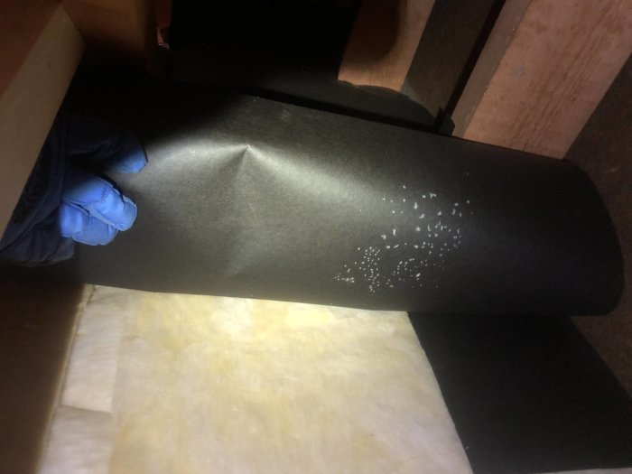 Hand i blå handske lyfter svart byggpapp med vita frostkristaller på en vind, över gul isolering.