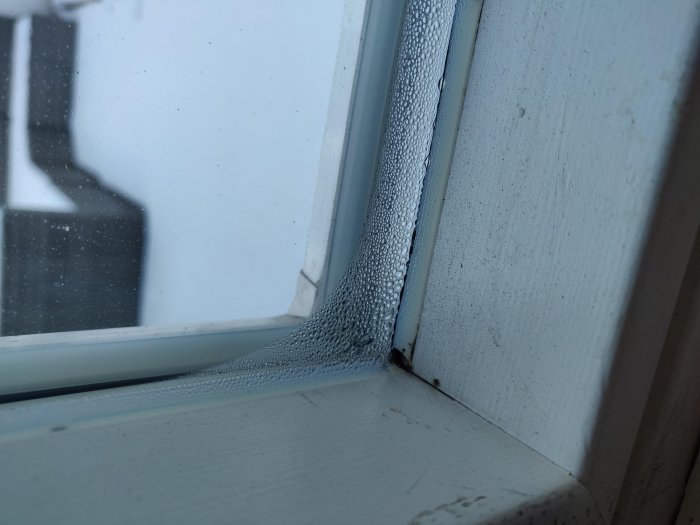 Kondens och misstänkt mögel vid silikonfog mellan fönsterkarm och fönsterglas på insidan.