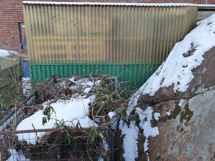 Trädgårdsförråd av korrugerad plåt vid en snöbedeckt bergvägg med inslag av grönt.