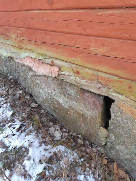 Skadad träsyll med synligt rotangrepp ovanpå stengrund där en sten har tryckts ut, delvis snötäckt mark med löv.