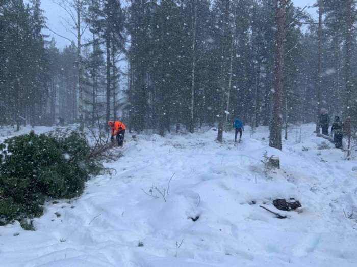 Person i orange jacka och andra i arbete med att röja i snöigt skogslandskap under snöfall.