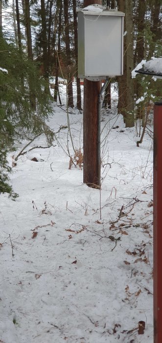 Ett skåp monterat på ett stolpe i ett snöigt skogslandskap med en gränspinne synlig nere till höger.
