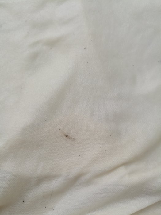 Partiklar som misstänks vara rost spridda på ett vitt tyglakan.