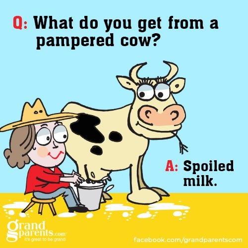 Illustration av ett skämt med en ko och en bonde, texten "What do you get from a pampered cow? Spoiled milk.