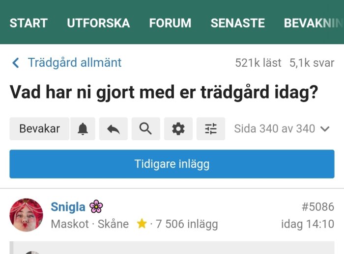 Skärmdump av en tråd i ett forum, "Vad har ni gjort med er trädgård idag?" med en användarprofil.