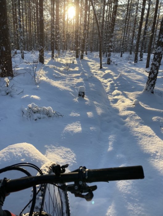 Cykelstyret på en mountainbike med en snöig skogsväg i bakgrunden under solnedgången.