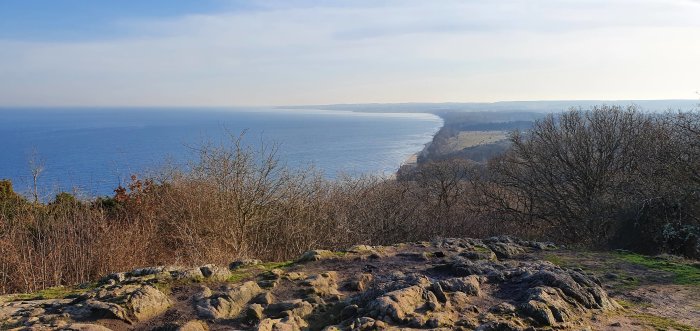 Kustvy från Stenshuvud i Österlen med hav och långsträckt strandlinje, omgivet av nakna träd och klippor.