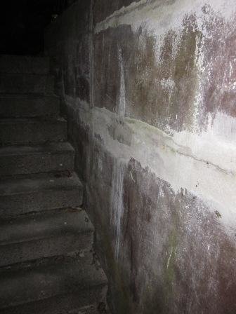 källartrappa 006.1.jpg