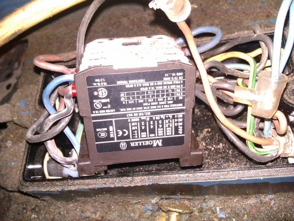 IMAG0267.jpg