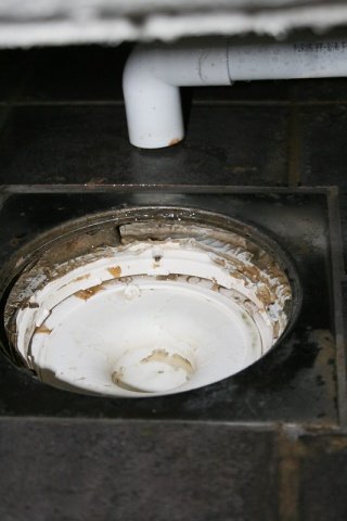 IMG_2159.jpg
